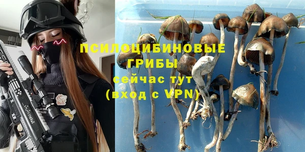 таблы Аркадак
